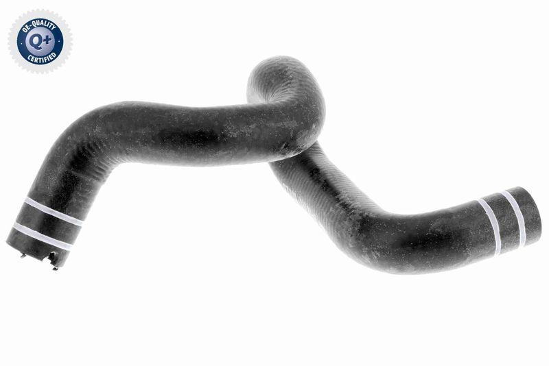 VAICO V24-0806 K&uuml;hlerschlauch f&uuml;r FIAT