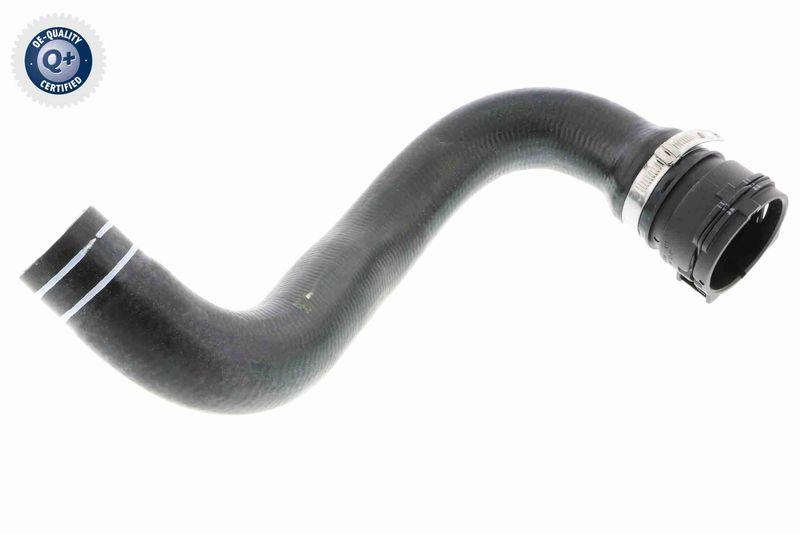 VAICO V24-0822 K&uuml;hlerschlauch f&uuml;r FIAT
