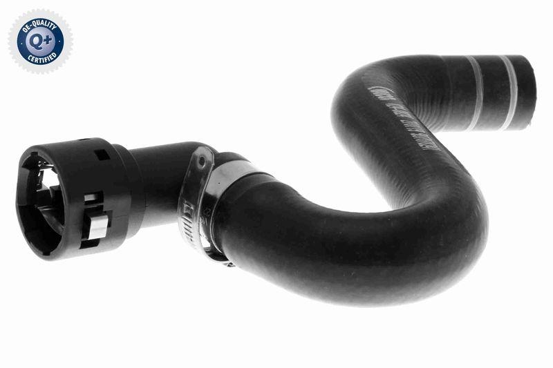 VAICO V24-0824 K&uuml;hlerschlauch f&uuml;r FIAT