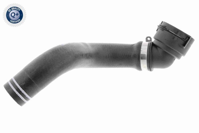 VAICO V24-0835 K&uuml;hlerschlauch f&uuml;r FIAT