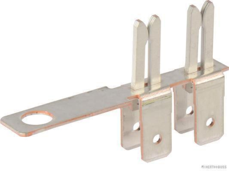 HERTH+BUSS 50251972 Sammelschiene 2-polig