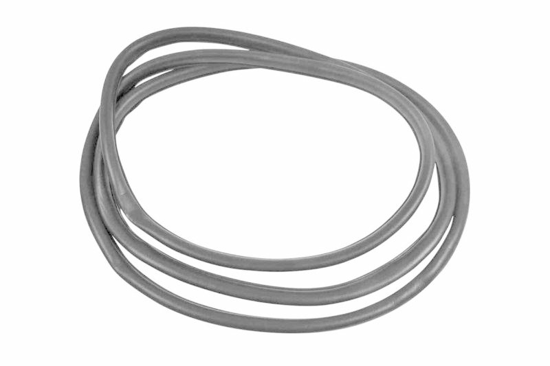 VAICO V20-1201 Dichtung, T&uuml;rscheibe vorne, links f&uuml;r BMW