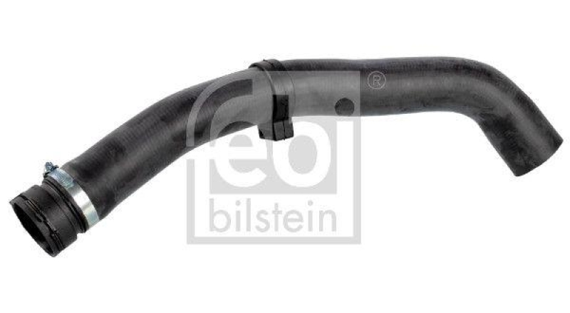 FEBI BILSTEIN 170441 K&uuml;hlwasserschlauch mit Schlauchschelle f&uuml;r DAF