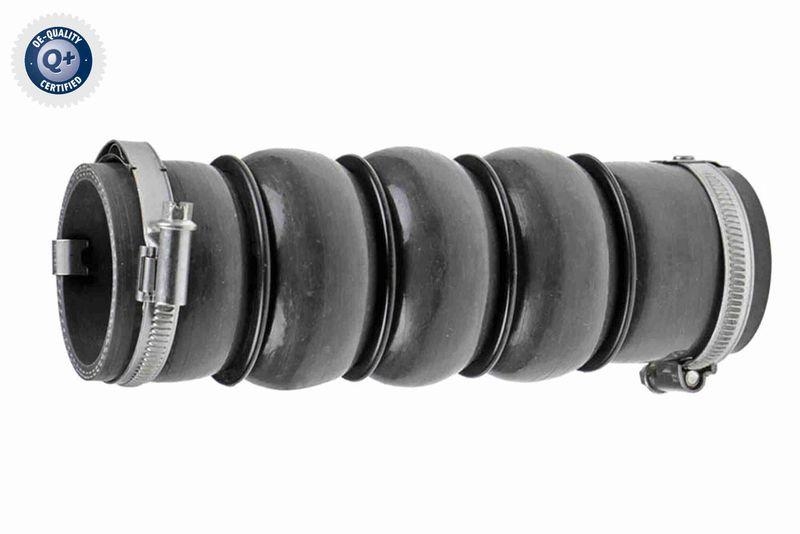 VAICO V22-0727 Ladeluftschlauch Ladeluftk&uuml;hler f&uuml;r CITRO&Euml;N