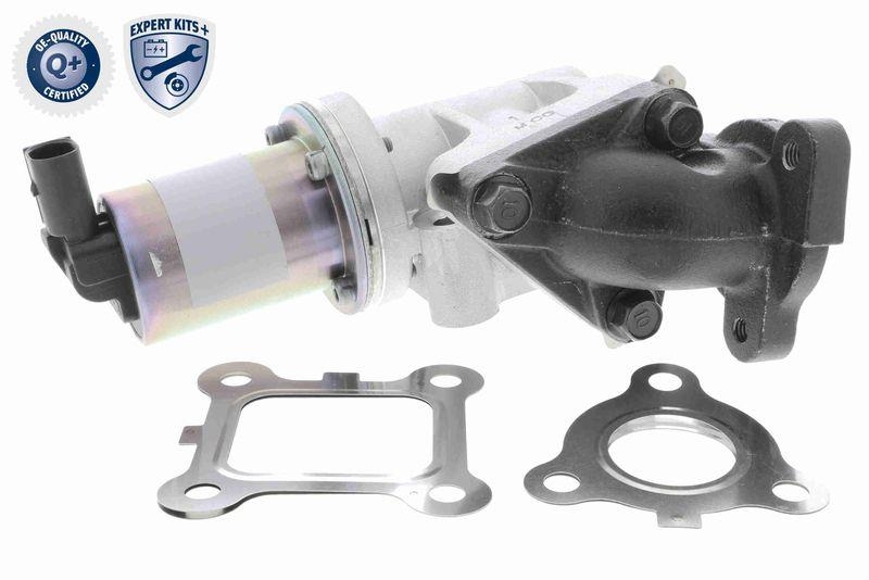 ACKOJA A53-63-0001 AGR-Ventil für HYundAI