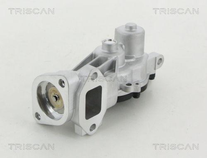 TRISCAN 8813 24040 Agr Ventil f&uuml;r Opel/Gm