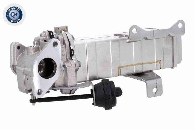 ACKOJA A52-63-0003 K&uuml;hler, Abgasr&uuml;ckf&uuml;hrung mit Dichtungen f&uuml;r HYUNDAI