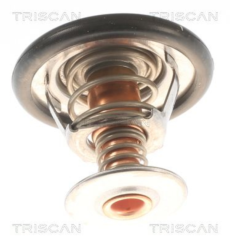 TRISCAN 8620 12588 Thermostat für Rover (0)
