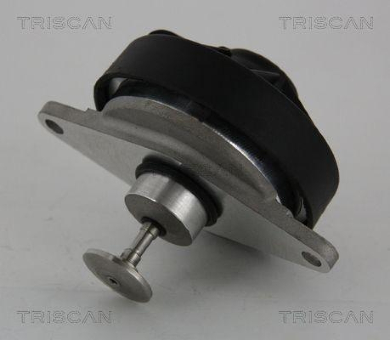 TRISCAN 8813 24202 Agr Ventil f&uuml;r Opel
