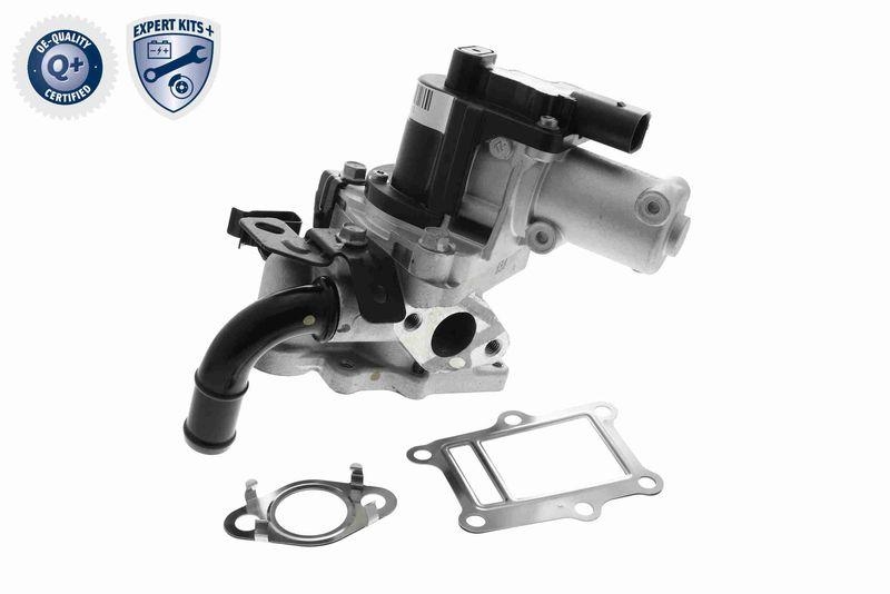 ACKOJA A52-63-0013 AGR-Ventil mit Zwei Dichtungen für HYUNDAI