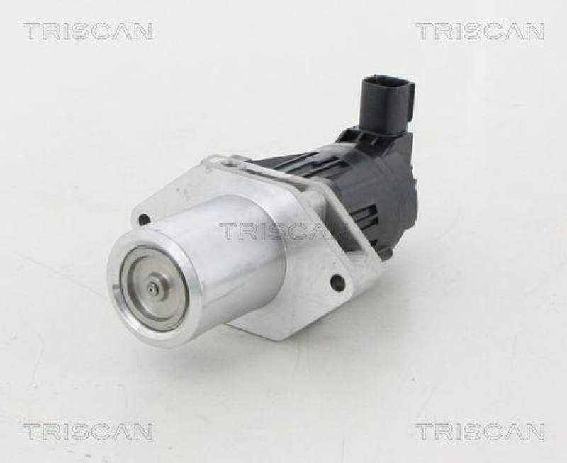 TRISCAN 8813 24209 Agr Ventil f&uuml;r Opel