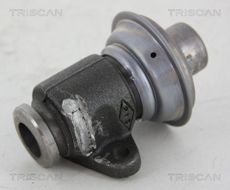 TRISCAN 8813 25006 Agr Ventil f&uuml;r Renault/Dacia