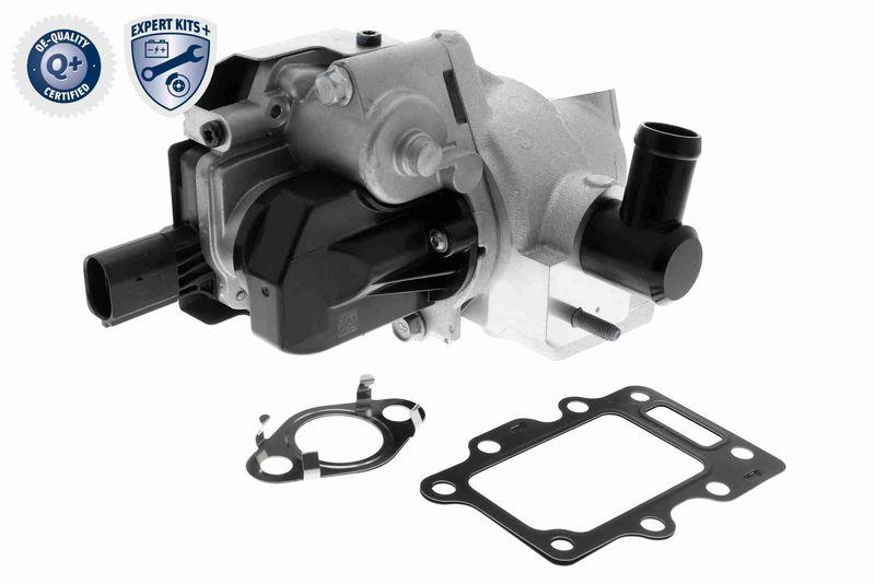 ACKOJA A52-63-0016 AGR-Ventil mit Dichtung, elektrisch für HYUNDAI