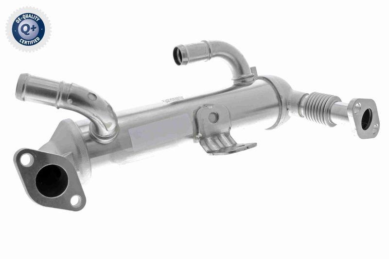 ACKOJA A52-63-0017 K&uuml;hler, Abgasr&uuml;ckf&uuml;hrung Wassergek&uuml;hlt f&uuml;r HYUNDAI