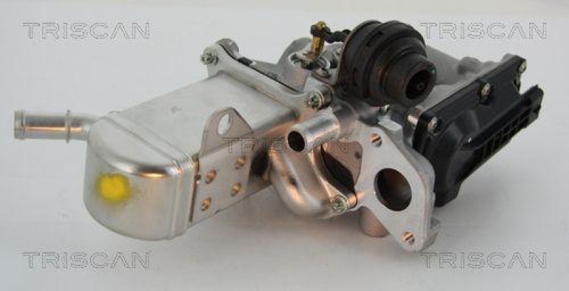 TRISCAN 8813 25013 Agr Ventil f&uuml;r Renault/Dacia