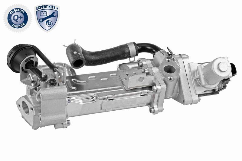 ACKOJA A52-63-0019 K&uuml;hler, Abgasr&uuml;ckf&uuml;hrung f&uuml;r HYundAI