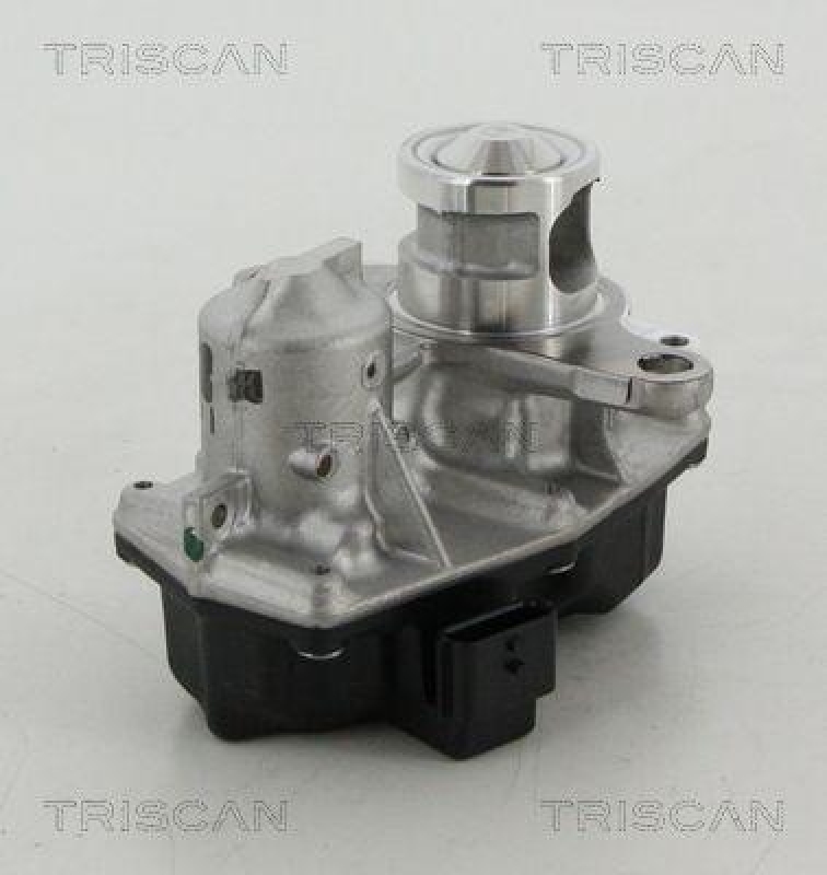 TRISCAN 8813 25042 Agr Ventil f&uuml;r Renault