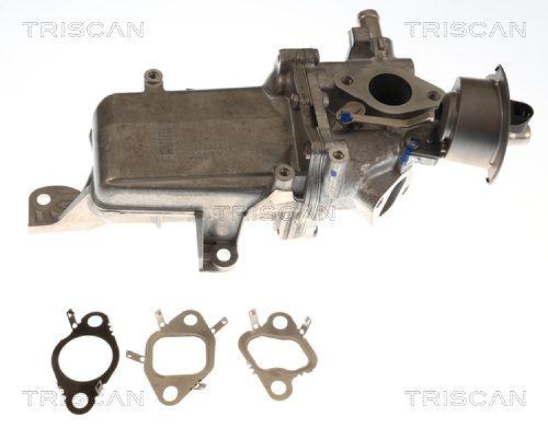 TRISCAN 8813 25048 Agr Ventil f&uuml;r Renault