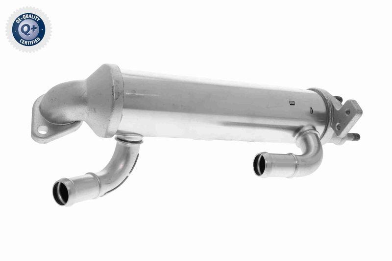 ACKOJA A52-63-0036 K&uuml;hler, Abgasr&uuml;ckf&uuml;hrung f&uuml;r HYundAI