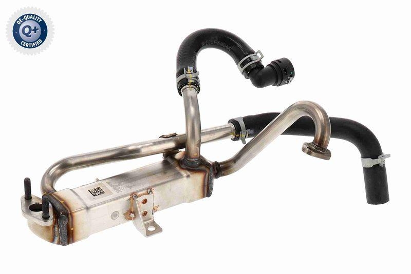 ACKOJA A52-63-0040 K&uuml;hler, Abgasr&uuml;ckf&uuml;hrung f&uuml;r HYundAI