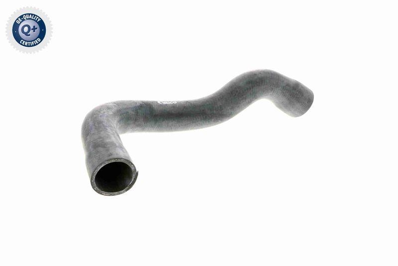 VAICO V20-1242 K&uuml;hlerschlauch f&uuml;r BMW