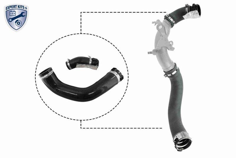 VAICO V46-1025 Ladeluftschlauch für DACIA