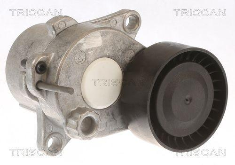 TRISCAN 8641 101010 Spannrolle für Mercedes-Benz