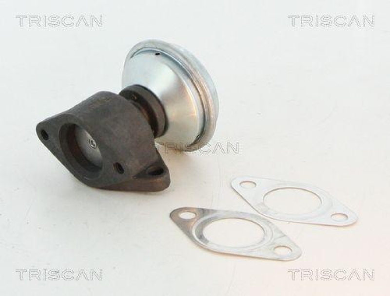 TRISCAN 8813 27100 Agr Ventil f&uuml;r Volvo/Vw 2.5Tdi