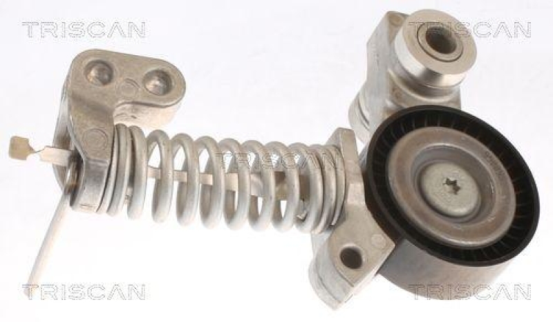 TRISCAN 8641 101014 Spannrolle für Volvo