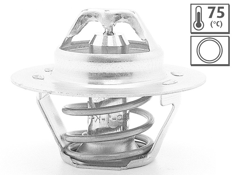 VALEO 819859 Thermostat PEUGEOT 304 1.3