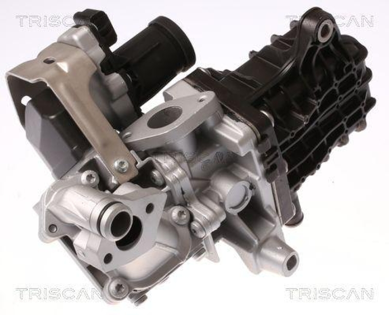 TRISCAN 8813 28046 Agr Ventil f&uuml;r Citroen, Peugeot