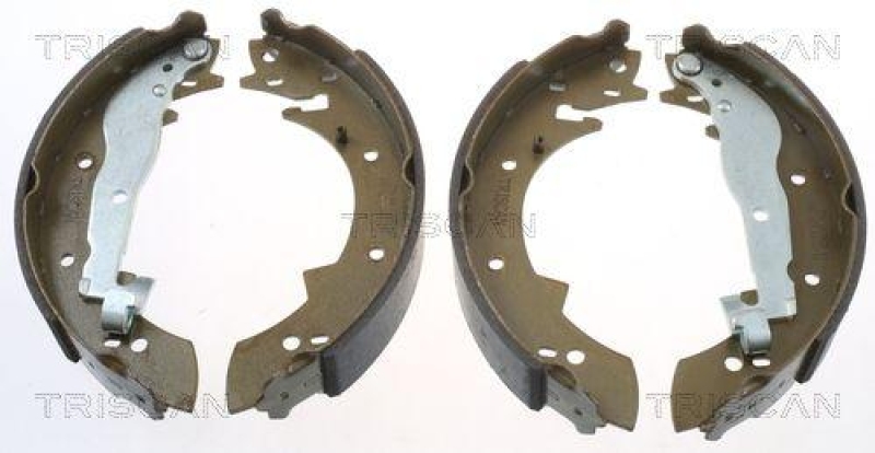TRISCAN 8100 10307 Bremsbacken f&uuml;r Peugeot/Renault