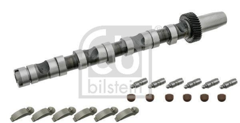 FEBI BILSTEIN 29920 Nockenwellensatz Einlass, Zylinder 4-6 f&uuml;r VW-Audi