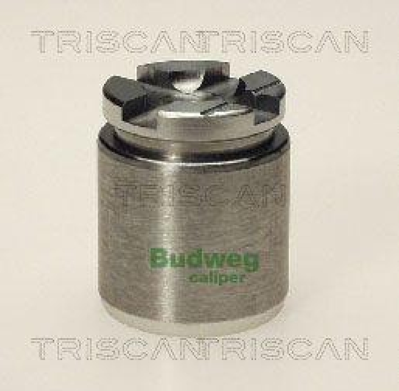 TRISCAN 8170 233205 Kolben f&uuml;r Citroen