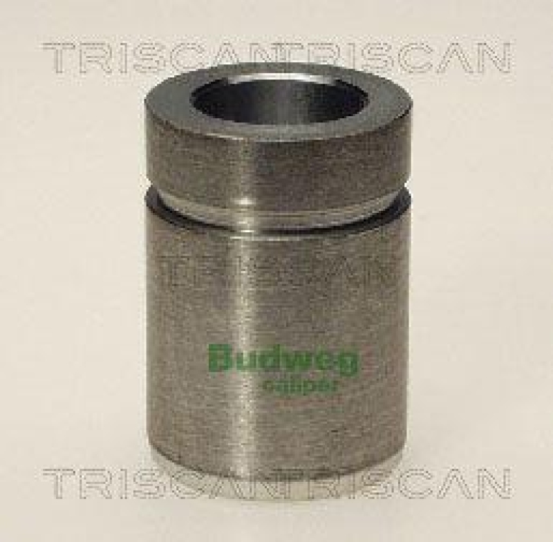 TRISCAN 8170 233206 Kolben f&uuml;r Mazda