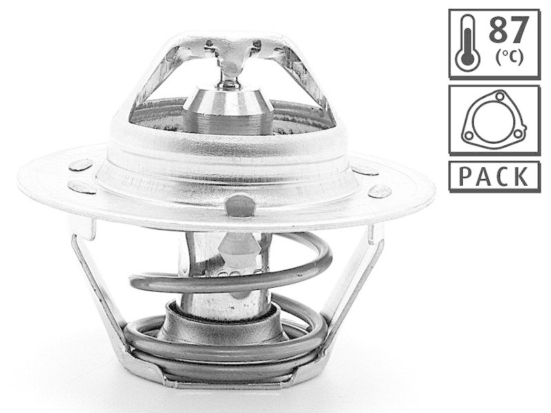 VALEO 819875 Thermostat DAEWOO REZZO 1.6 I