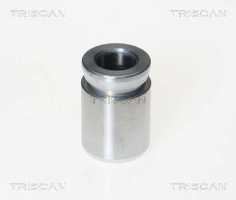 TRISCAN 8170 233304 Kolben f&uuml;r Bmw