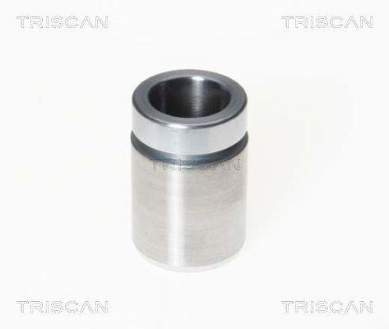 TRISCAN 8170 233308 Kolben f&uuml;r Peugeot