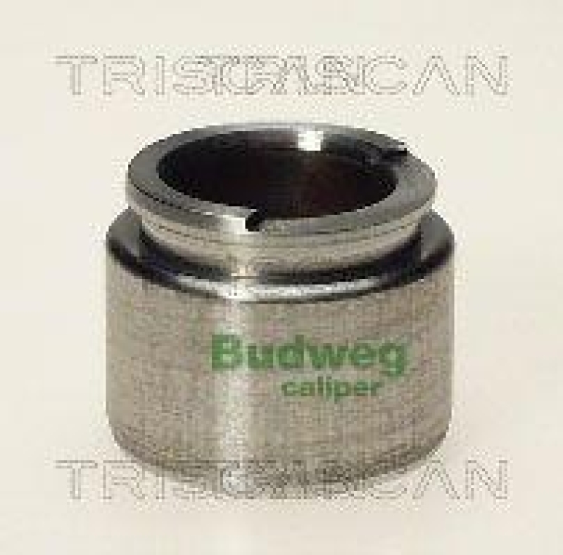 TRISCAN 8170 233504 Kolben f&uuml;r Opel