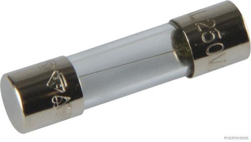 HERTH+BUSS 50295053 Sicherung Glas, F flink, 5 x 20mm, 4 A