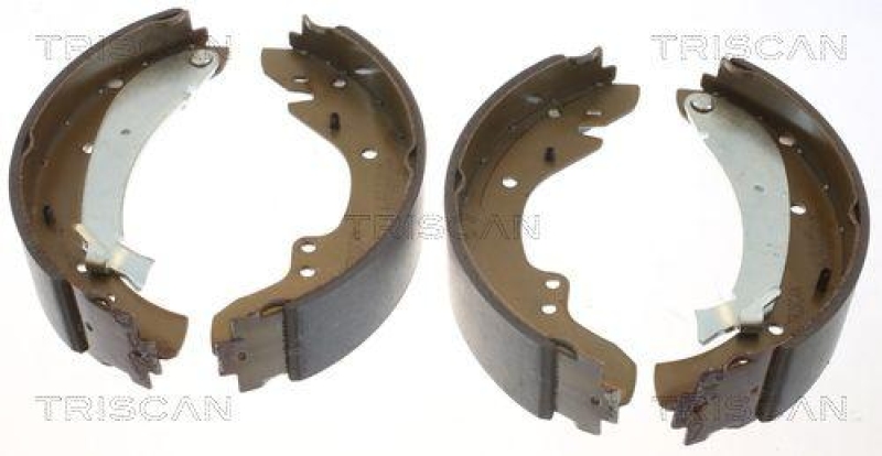 TRISCAN 8100 10573 Bremsbacken f&uuml;r Citroen, Fiat, Peugeot