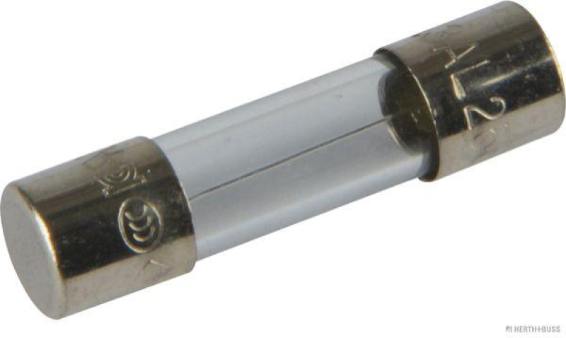 HERTH+BUSS 50295054 Sicherung Glas, F flink, 5 x 20mm, 6,3 A