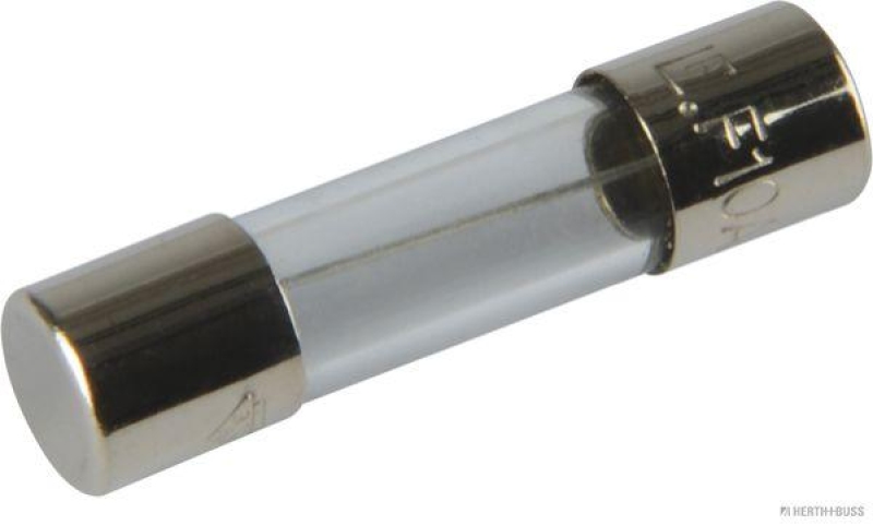 HERTH+BUSS 50295056 Sicherung Glas, F flink, 5 x 20mm, 10 A