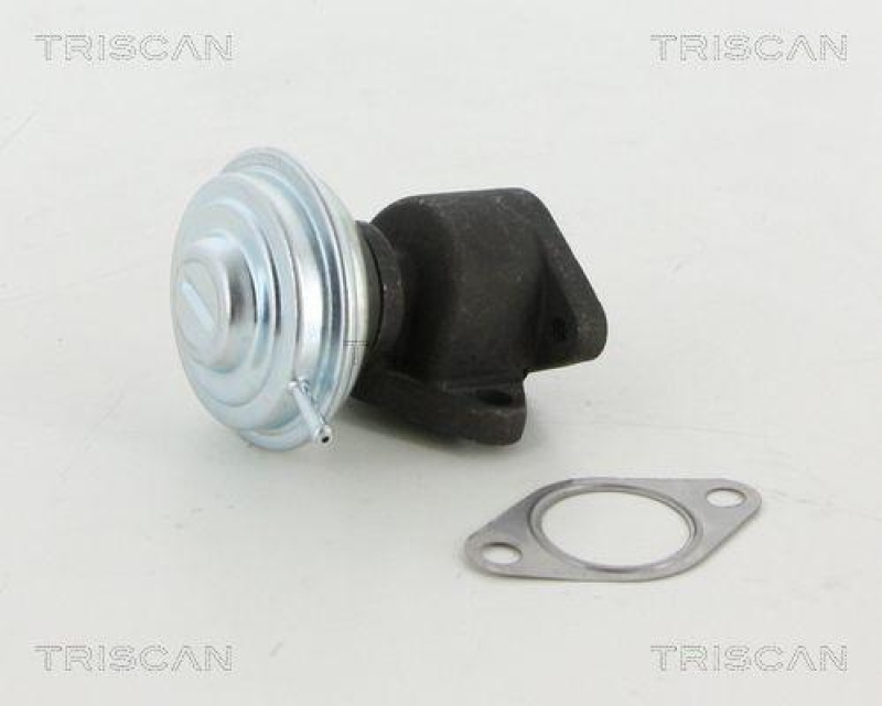 TRISCAN 8813 29067 Agr Ventil f&uuml;r Audi A6