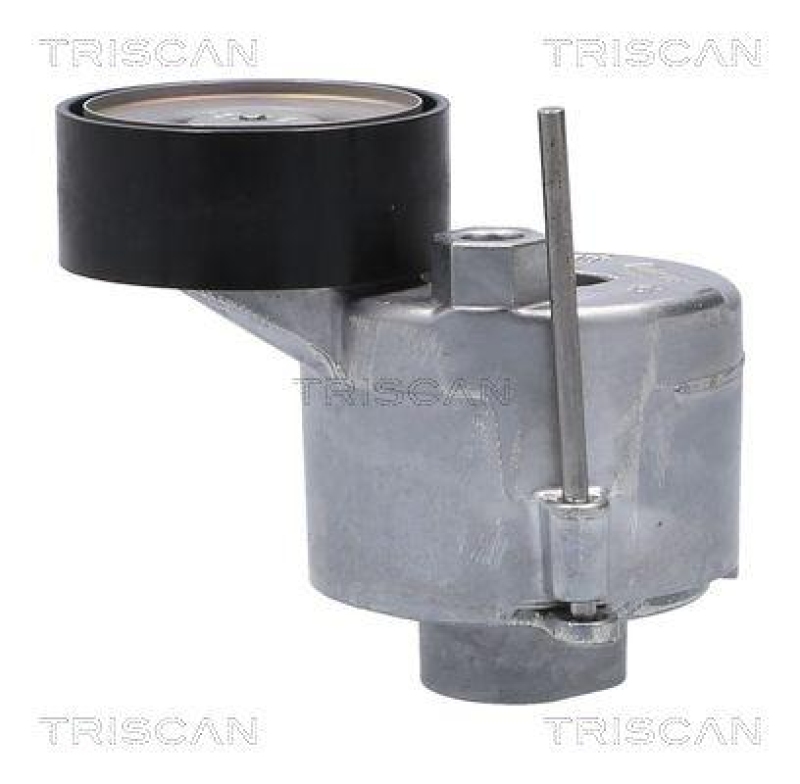 TRISCAN 8641 103060 Spannrolle