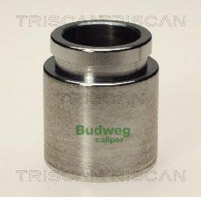 TRISCAN 8170 233819 Kolben f&uuml;r Isuzu, Toyota
