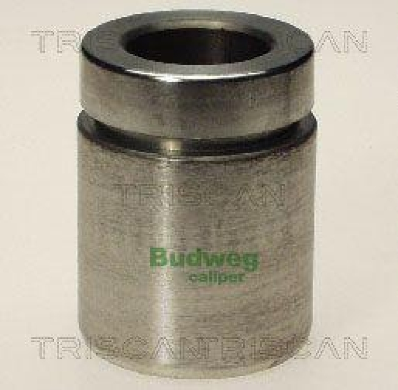 TRISCAN 8170 233824 Kolben f&uuml;r Bmw