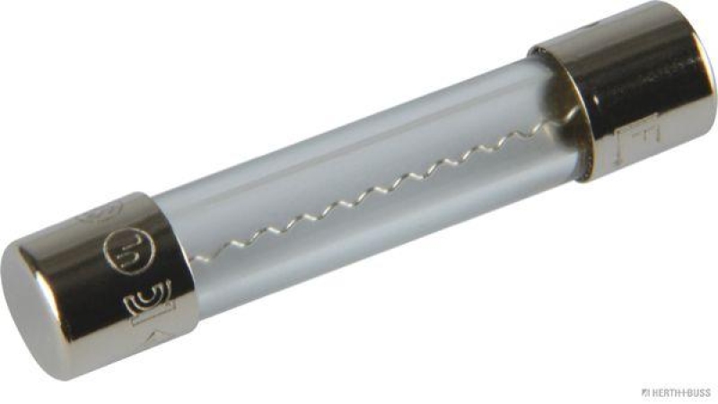 HERTH+BUSS 50295151 Sicherung Glas, F flink, 6,3 x 32mm, 10 A