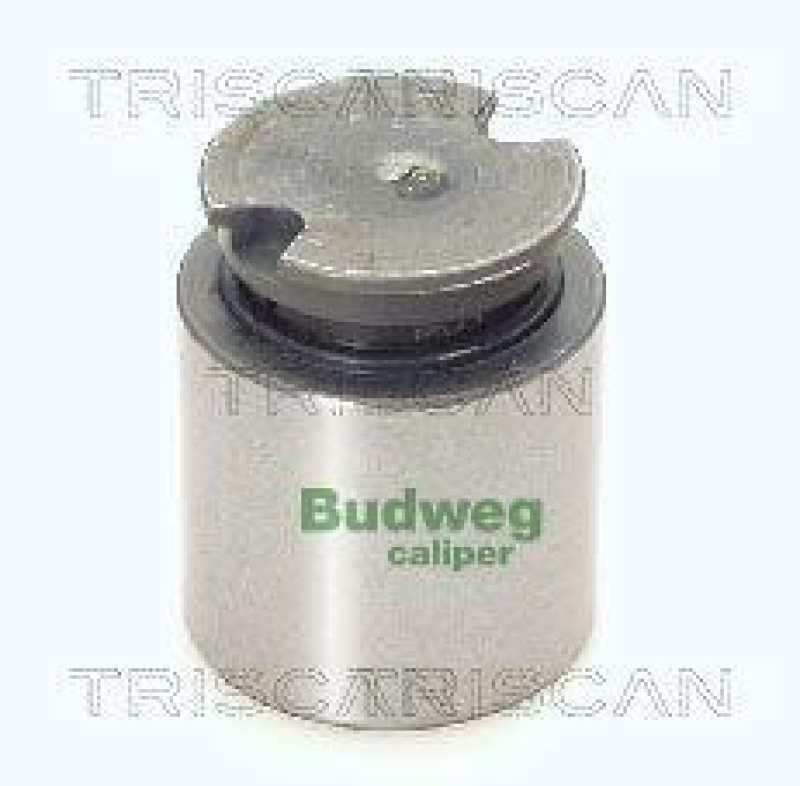 TRISCAN 8170 233841 Kolben f&uuml;r Fiat, Opel