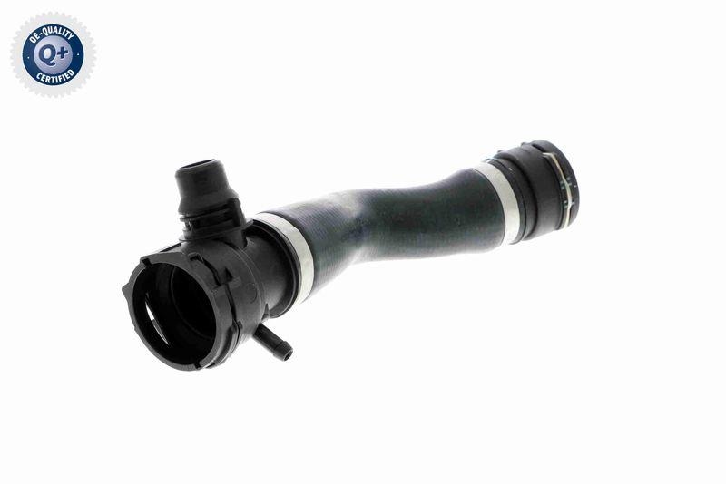 VAICO V20-1293 K&uuml;hlerschlauch f&uuml;r BMW